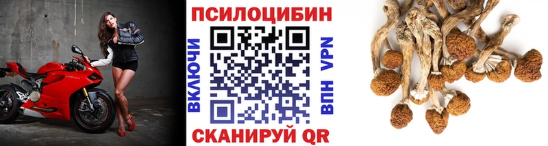 что такое   Слободской  Галлюциногенные грибы мухоморы 